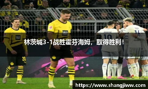 林茨城3-1战胜霍芬海姆，取得胜利！