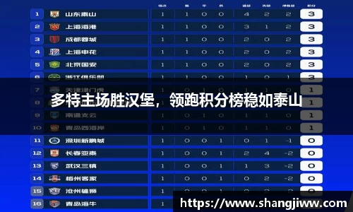 多特主场胜汉堡，领跑积分榜稳如泰山