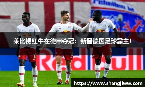 莱比锡红牛在德甲夺冠：新晋德国足球霸主！