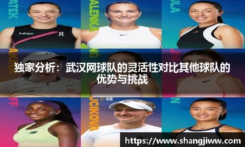 独家分析：武汉网球队的灵活性对比其他球队的优势与挑战
