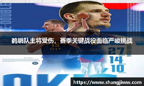 鹈鹕队主将受伤，赛季关键战役面临严峻挑战