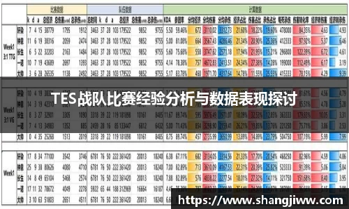 TES战队比赛经验分析与数据表现探讨