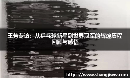 王芳专访：从乒乓球新星到世界冠军的辉煌历程回顾与感悟