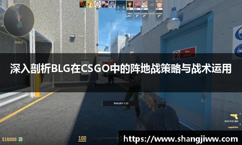 深入剖析BLG在CSGO中的阵地战策略与战术运用