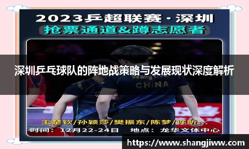 深圳乒乓球队的阵地战策略与发展现状深度解析