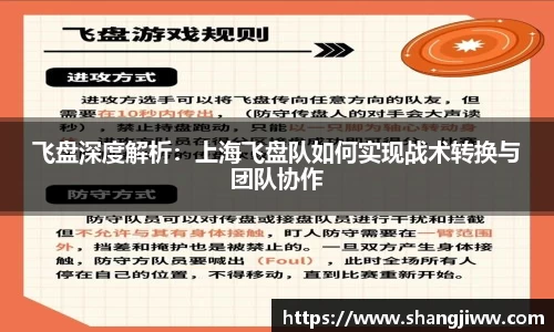 飞盘深度解析：上海飞盘队如何实现战术转换与团队协作