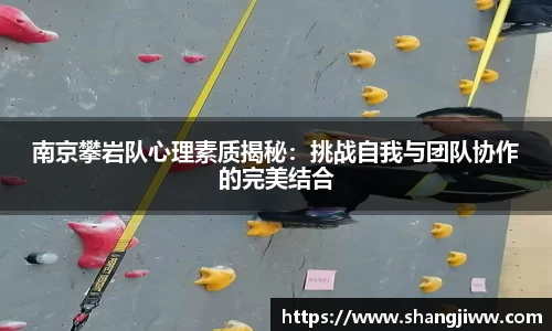 南京攀岩队心理素质揭秘：挑战自我与团队协作的完美结合