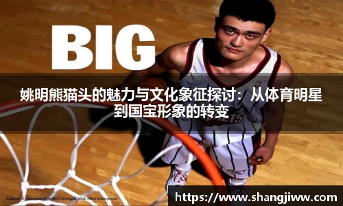 姚明熊猫头的魅力与文化象征探讨：从体育明星到国宝形象的转变