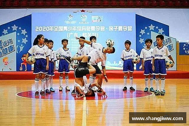 解读emc易倍